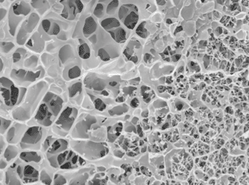 Image: Lung mucus - showing the rigid gel scaffold separating large, liquid gel filled pores (Photo courtesy of Saarland University, Schneider/Kirch et al).